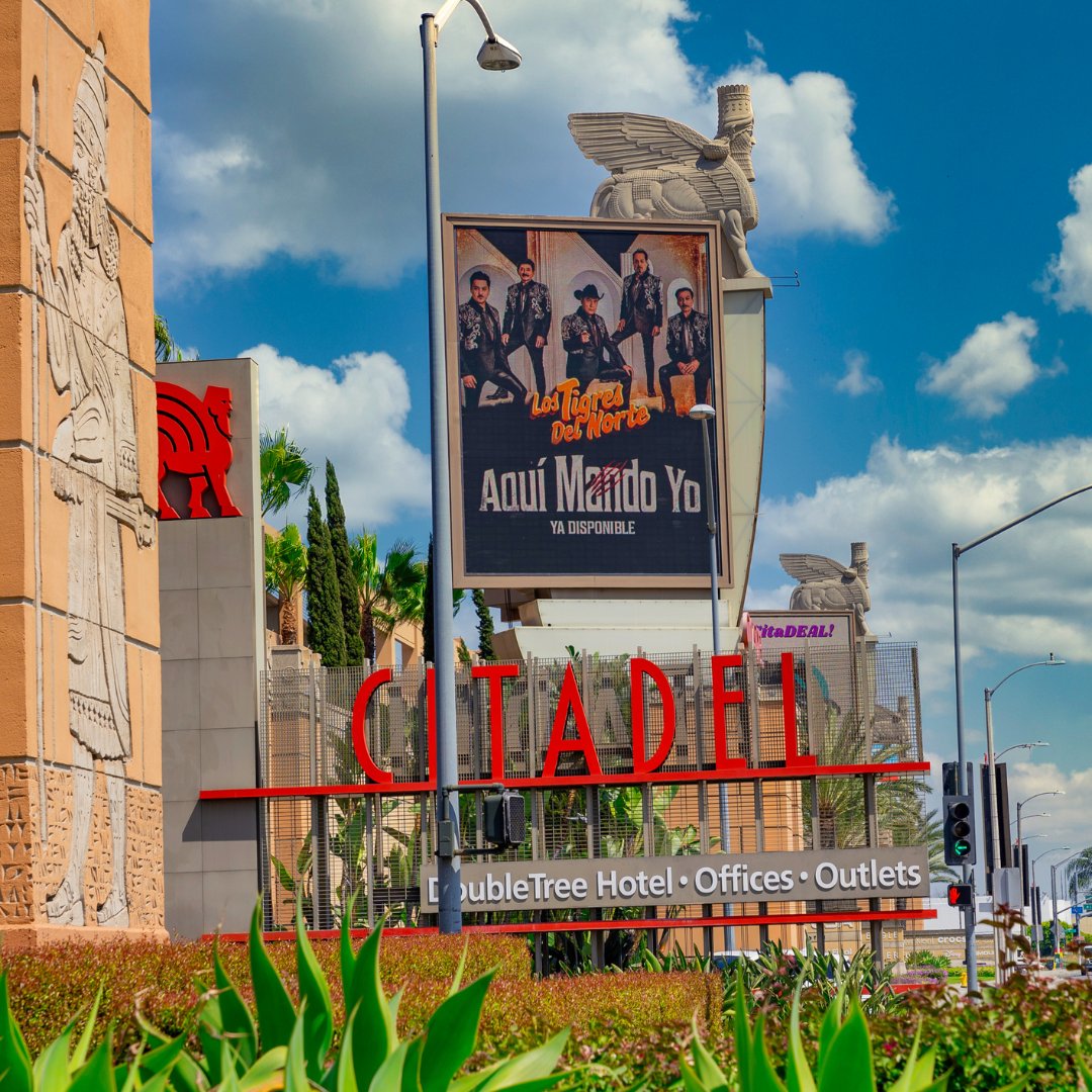 Ayelet Corona Agency - ACA Marketing tweet media