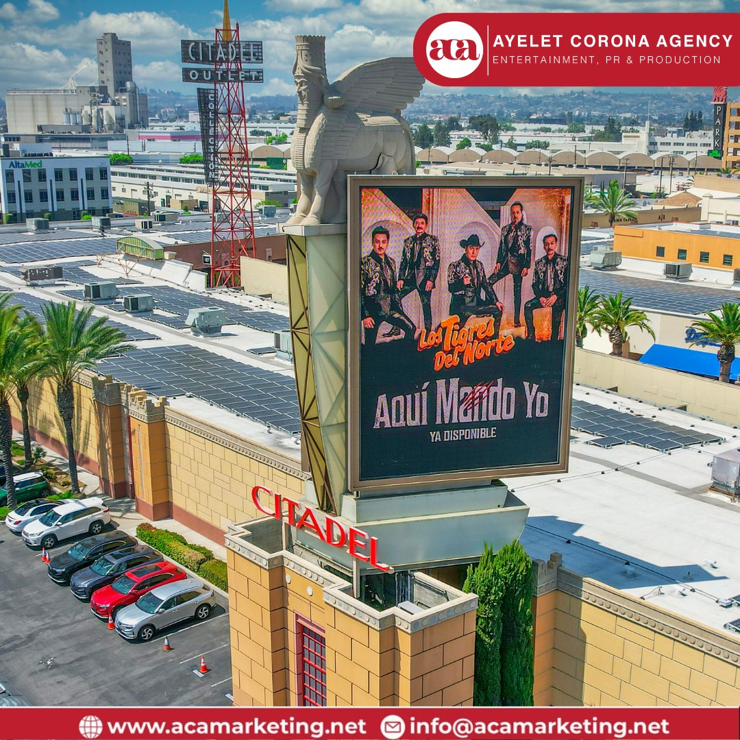 Ayelet Corona Agency - ACA Marketing tweet media