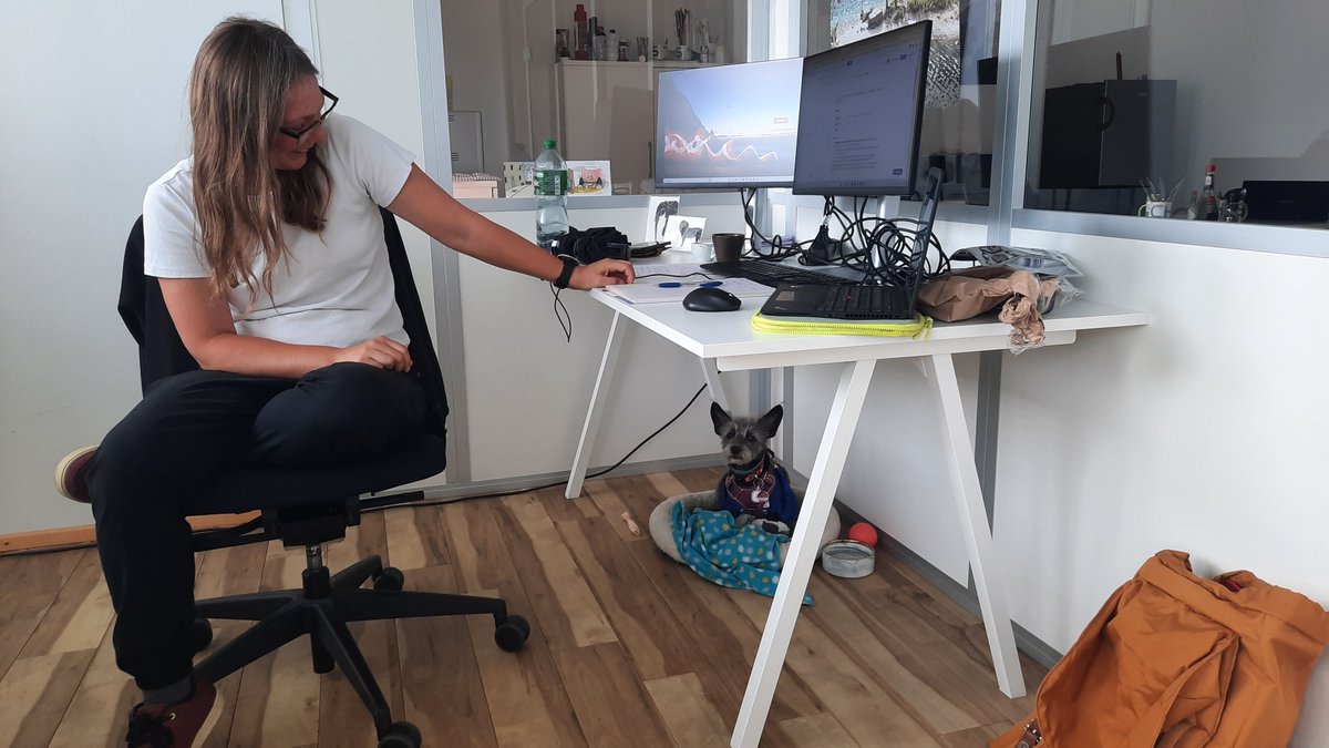 Polly, the new head of quality management in his office
#ESD #CHES #qualitymanagement