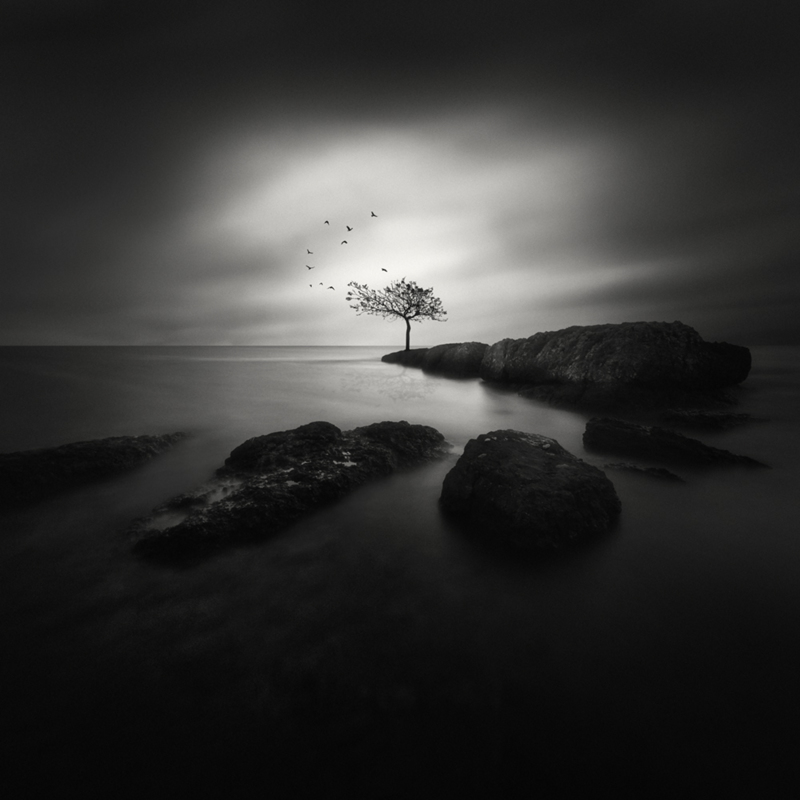 STRKNG tweet media