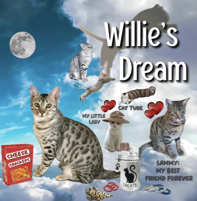 gemsounds77's tweet photo. Those familiar with Key Player’s “The Age of Duma” know that Duma is now Willie at his new home. The “fulsome life” Willie enjoys is depicted below as a dream starring his best friend, an imaginary daughter-to-be, flight paths to the stars, favorite snacks and, of course, awesome toys!