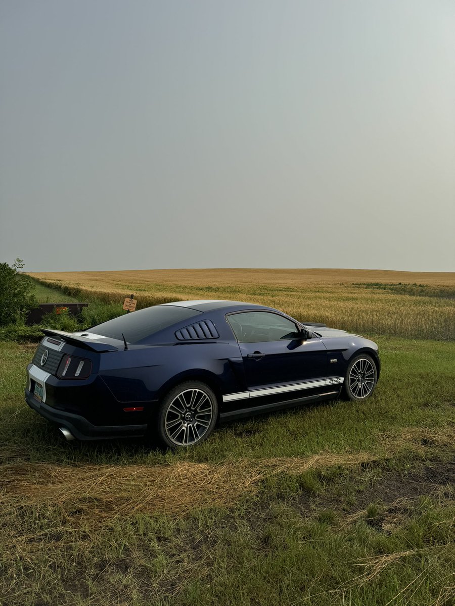 On my way to a meeting but the mustang can check a couple fields.