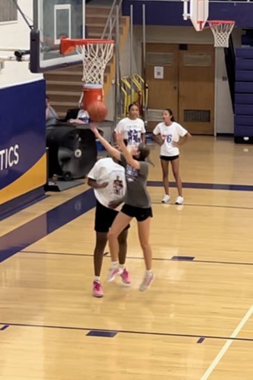 zoey_henry15's tweet photo. So thankful for our training time with local PA superstar, @kikijefferson30! 🏀🔥 #4Ma #lancastercatholic #henrytwins https://t.co/1SLxcWr0Wg