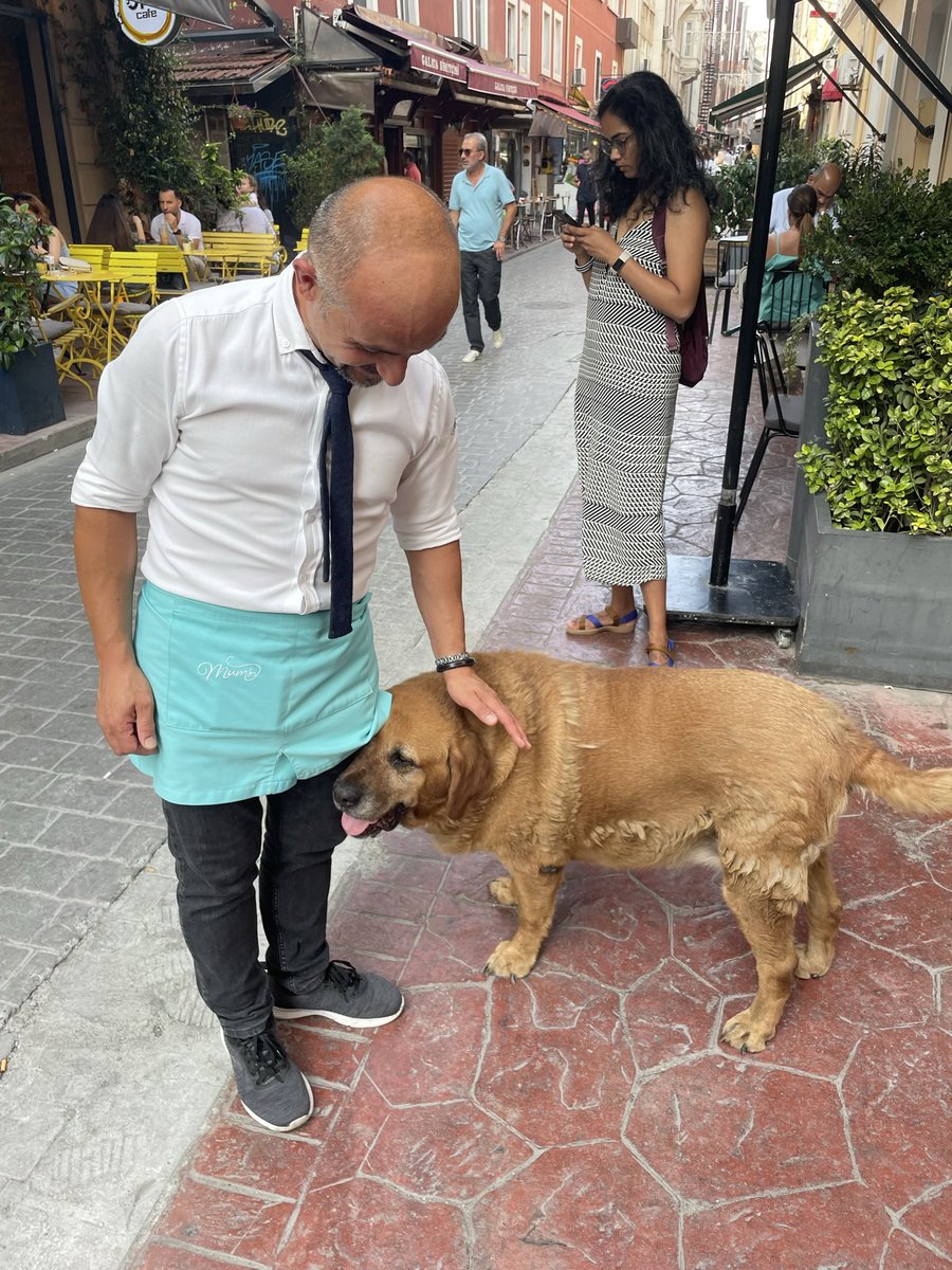 EzgiCanpolat's tweet photo. #YasayiGeriÇek #YasaDegilCinayet #AnimalRights https://t.co/U86mICcWcB