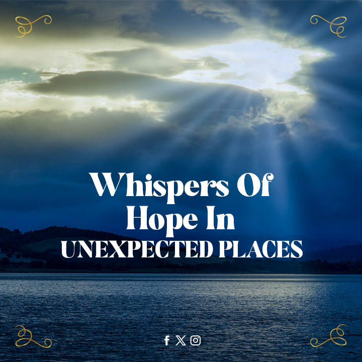 brad_author1's tweet photo. Life throws curveballs, but faith can be the light that guides you through. This book shares how hope can emerge even in difficult times.

Don't wait, grab your copy today
https://t.co/1BejGmzQRu

#faithbased #christianlife #faithjourney #godslove #spiritualgrowth #Bookmarketing https://t.co/jTEZWMKTez