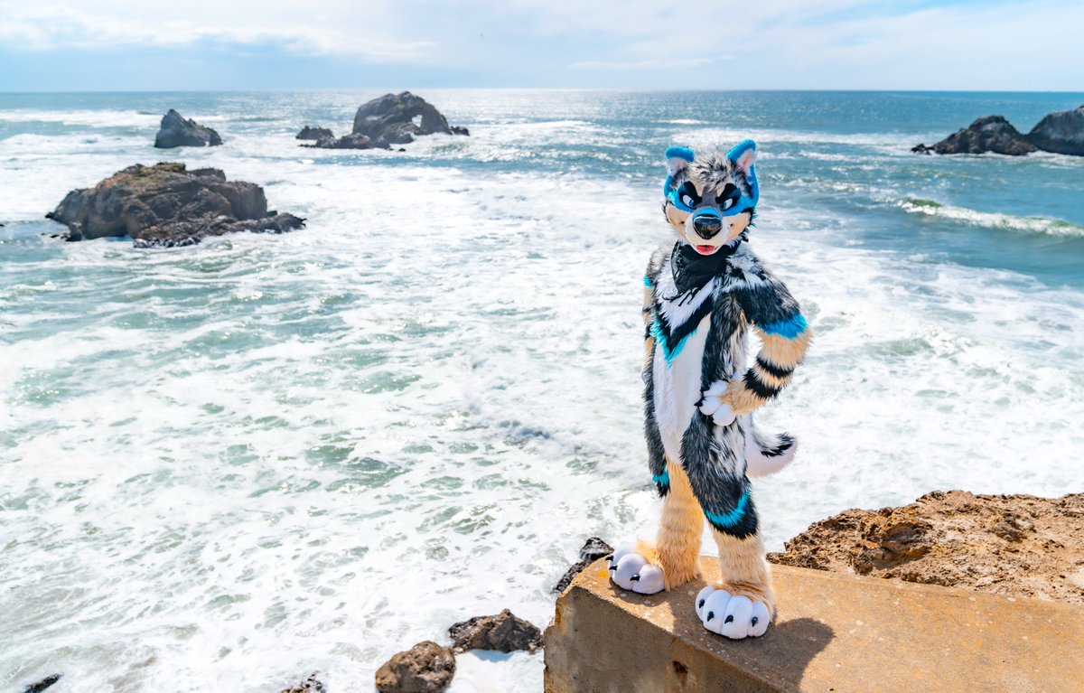 Manuel_Dawg's tweet image. Guess who&apos;s back?! Yeah, I lost access to my old account. Who cares. BARK!

#ManuelMonday #MixedCandyMonday