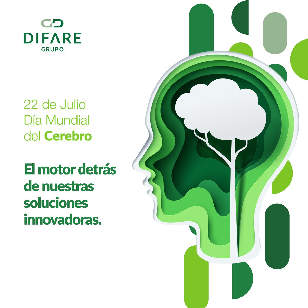 GrupoDIFARE's tweet photo. 🌐💡 En el Día del Cerebro, recordemos que nuestras ideas son el primer paso hacia un futuro mejor. Cuidar nuestra salud mental es esencial para llevar una vida equilibrada y plena.
#GrupoDIFARE #PielGD #Salud #Bienestar #DiaMundialDelCerebro https://t.co/JZEGkW71wG