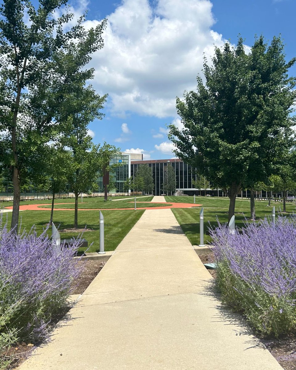 Lawrence Tech Alumni tweet media