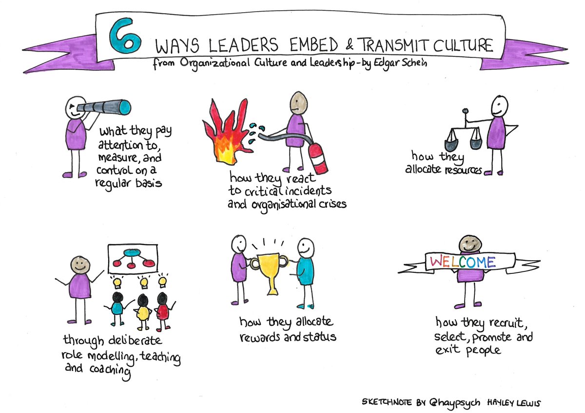 Dr Hayley Lewis tweet media