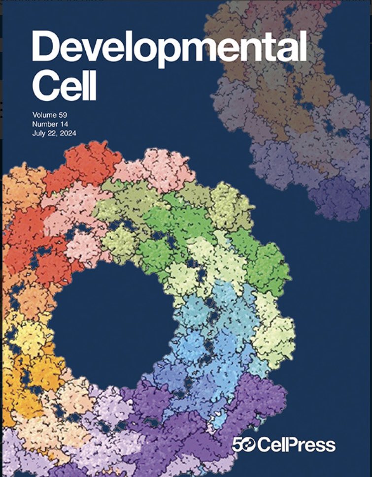 And We have the cover! 
Structure of dynamin in a post-GTP hydrolysis, super-constricted state. 
Congratulations to all the coauthors! 
Thank you John Jimah for being such a great friend and colleague. 

<a href="/JimahLab/">Jimah Lab</a> <a href="/JennyHinshaw3/">Jenny Hinshaw</a> 

cell.com/developmental-…