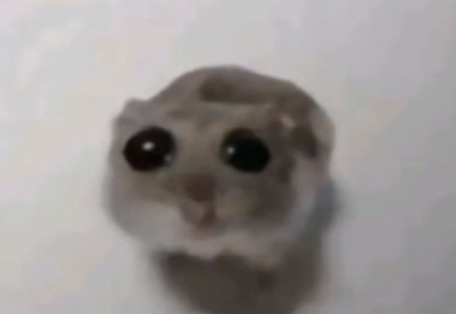 iosononicol's tweet photo. parlando di cose serie, qualcuno ha la patente ma ha difficoltà a guidare? o comunque ha avuto in passato difficoltà a guidare? purtroppo mi sale questa brutta ansia e non riesco a guidare e la cosa mi demoralizza ma vivo proprio con il panico. mi potete aiutare? consigli? https://t.co/2FbkM9ab92