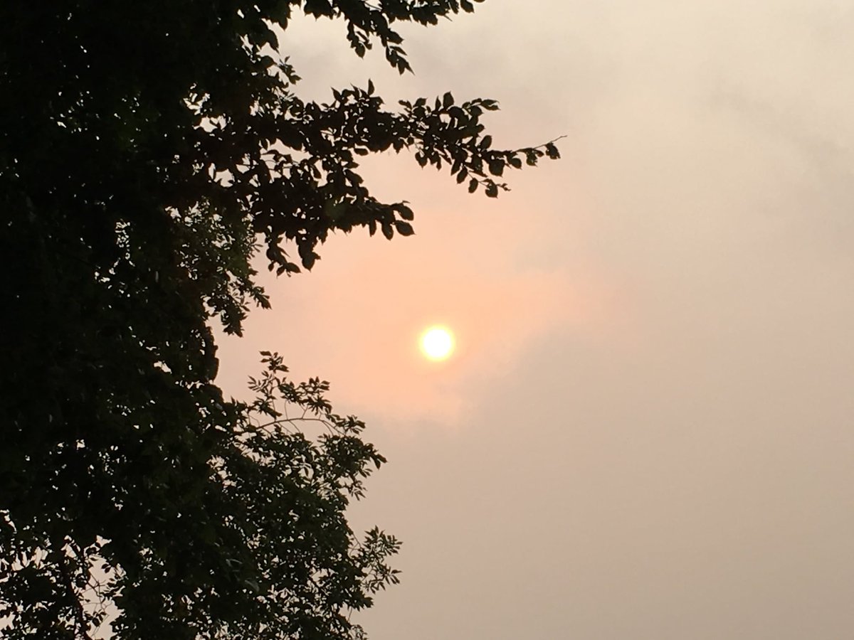 Take precautions as smoke is creating poor air quality &amp; heat is affecting many parts of #Sask. 
• Stay hydrated 
• Close windows &amp; exterior doors 
• If have A/C, keep fresh-air intake closed 
• Close fireplace dampers on wood burning fireplaces 
• Reduce outdoor activities