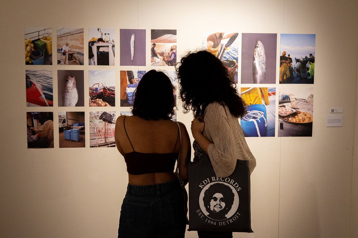 𝑺 𝑻 𝑹 𝑰 𝑷 𝑨 𝑹 𝑻 tweet media