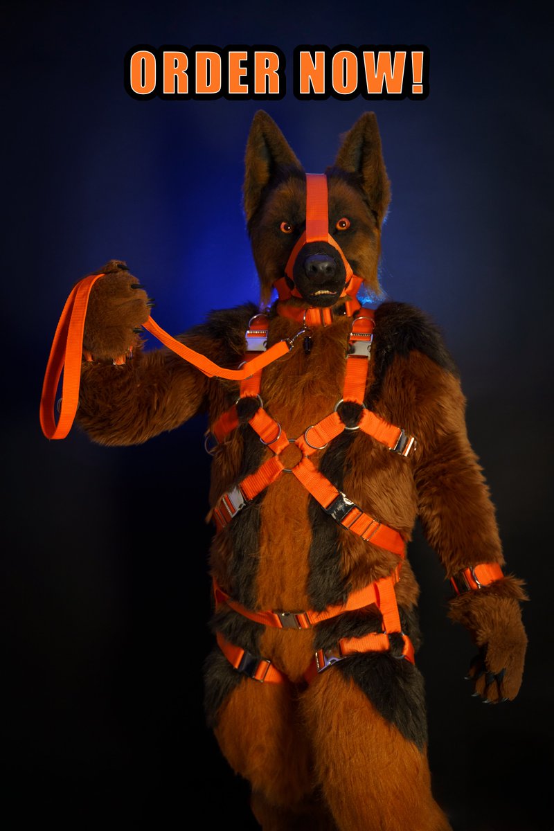 You still need a collar, leash or maybe an harness for EAST or EF? 
ORDER NOW!
until 31.07. for EAST pickup or 
31.08. for EF pickup!