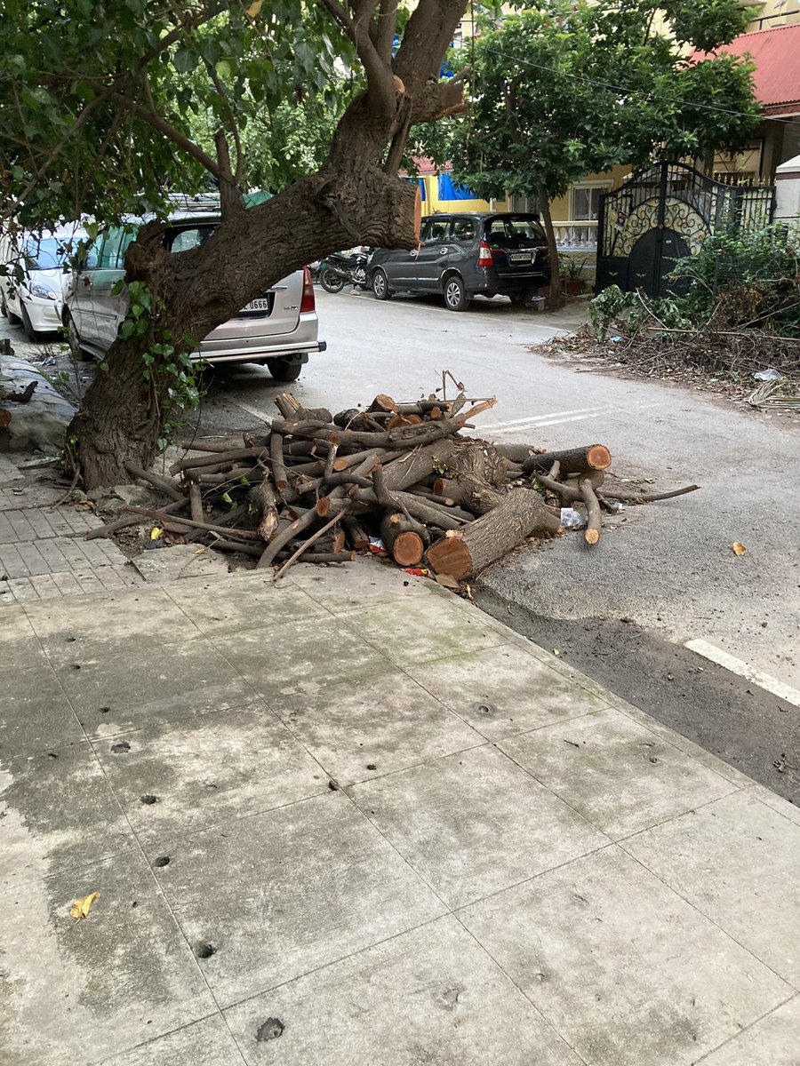 ssharan28's tweet photo. @swaccha_bbmp @BbmpchdTeam @Bbmpcares tree was cut and fallen last month.. no one has come to clean up the cut branches and tree branches. Road is in mess due to tree felling. 3rd Main HBR 3rd block #SwachhSurvekshan2024 https://t.co/NZbQrEes7G