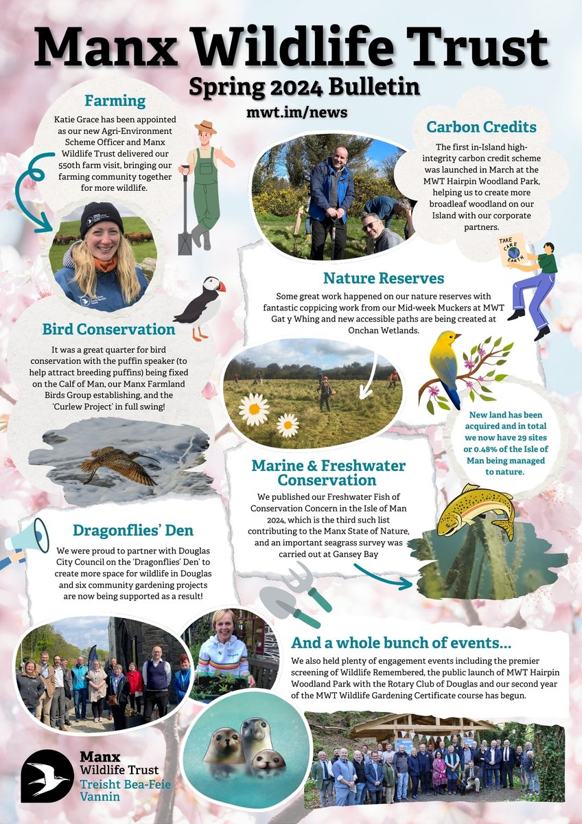 🌸Have you seen our spring bulletin? We're flying through summer now but take a moment to check out some of our favourite bits from earlier in the year! #TeamWilder #ManxNature #IsleofMan