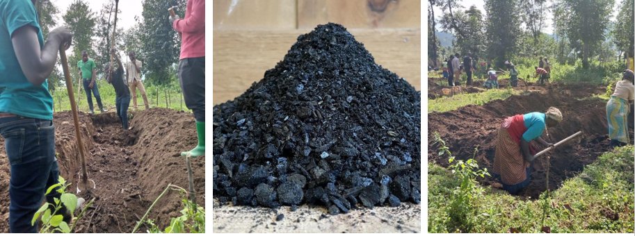 AGRIPI_'s tweet photo. Have you ever heard of #DoubleDigging tillage practice?
It’s among #regenerative agri-practices,that we’ve been researching. It involves tilling soil to 60 cm deep and mixing it with biochar&amp; #compost.This enhances root penetration,improve organic matter and overall soil health. https://t.co/q63arcgoxJ
