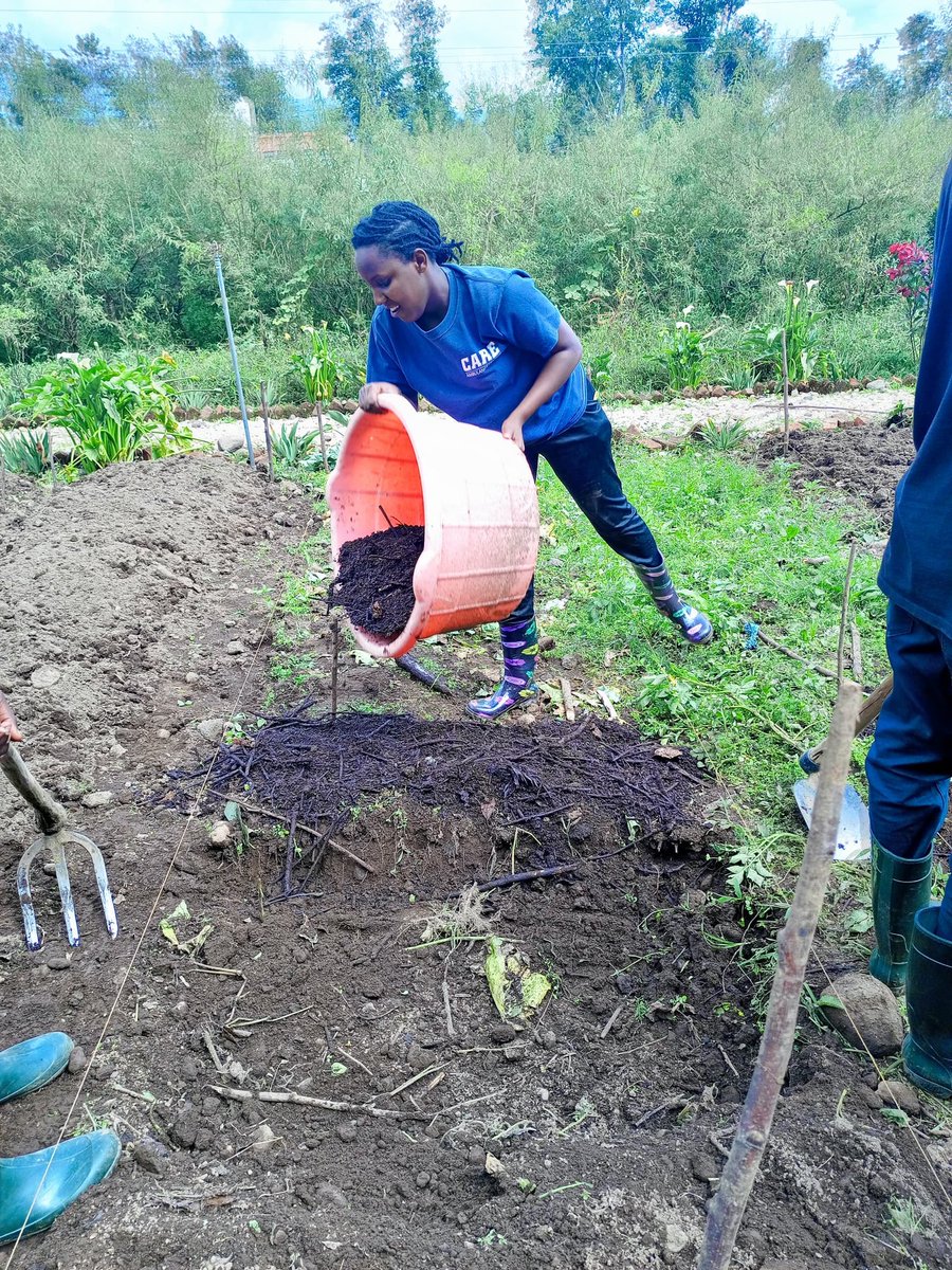AGRIPI_'s tweet photo. Have you ever heard of #DoubleDigging tillage practice?
It’s among #regenerative agri-practices,that we’ve been researching. It involves tilling soil to 60 cm deep and mixing it with biochar&amp; #compost.This enhances root penetration,improve organic matter and overall soil health. https://t.co/q63arcgoxJ