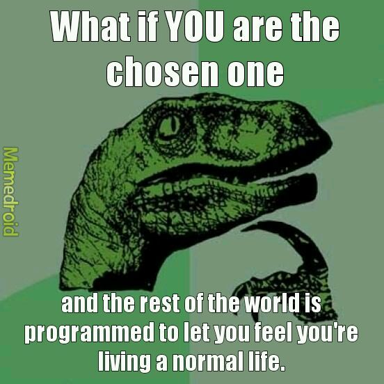 Raptor__solana's tweet photo. $RAPTOR is the chosen one https://t.co/lQraafdSs5