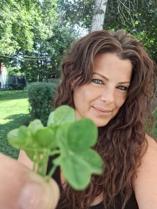 Un bouquet de tr&egrave;fles &agrave; 4 feuilles  ! &Agrave; qui la Chance !!!! https://t.co/TQcRHv5E22<a href="/tag/mvsales"class="tags"><span>#mvsales</span></a>