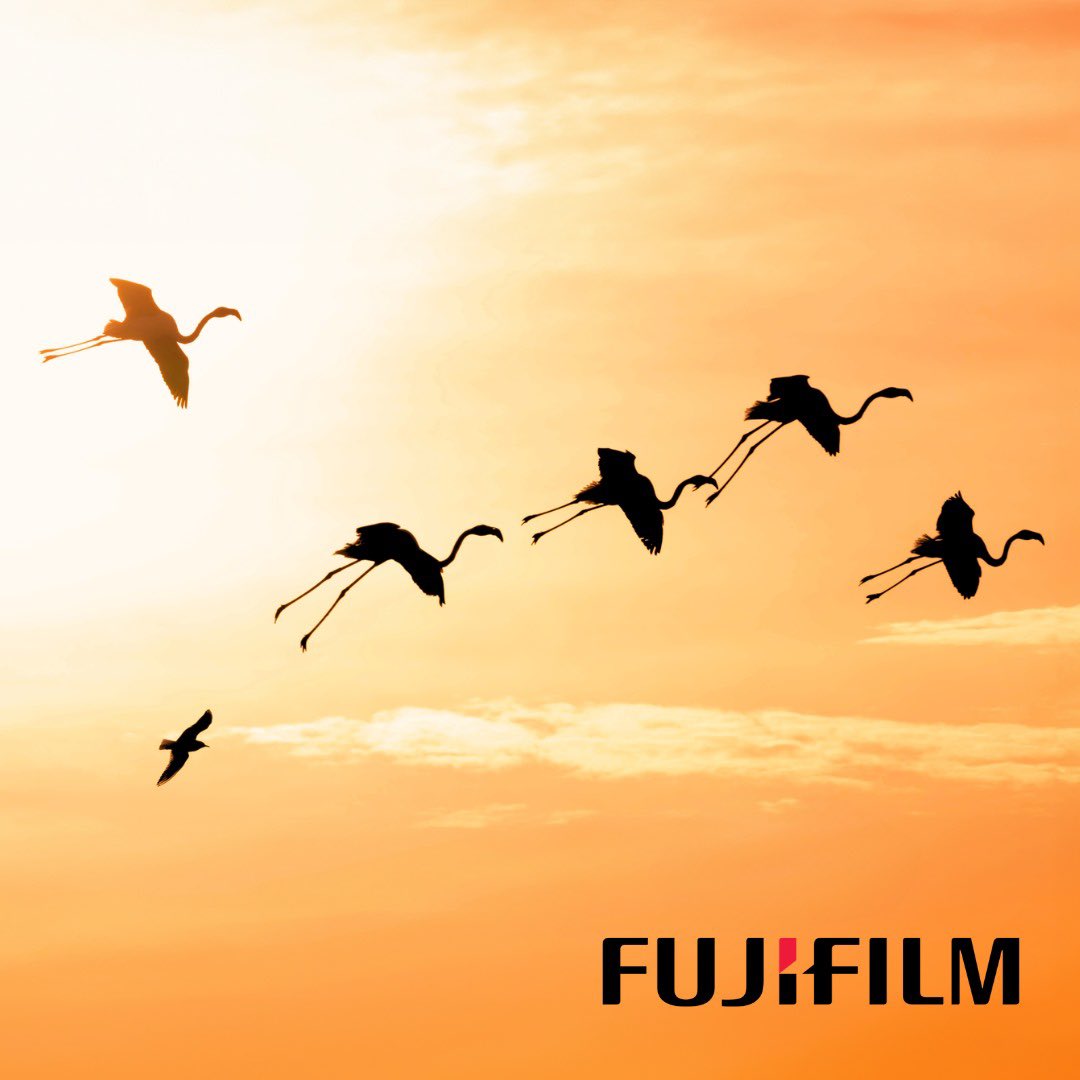 DeltaBirdingF's tweet photo. 📷 Join us in the #DeltaPhotoTour by @fujifilm_es and discover their equipment in an incredible environment accompanied by the Fujifilm collaborating photographer Laura Núñez and the local guide from @photo_logistics . https://t.co/w2U6J6pQ8A