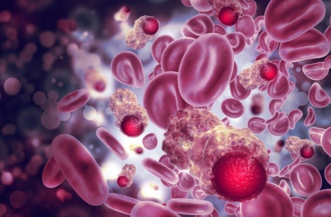 umnmedschool's tweet photo. A new U of M study finds cell donor’s socioeconomic status shapes cancer treatment outcomes. Read more about the findings ➡️: https://t.co/lCFpMpbbx7.

#CancerTreatment | #UMNcancer https://t.co/WWrwVs02wp