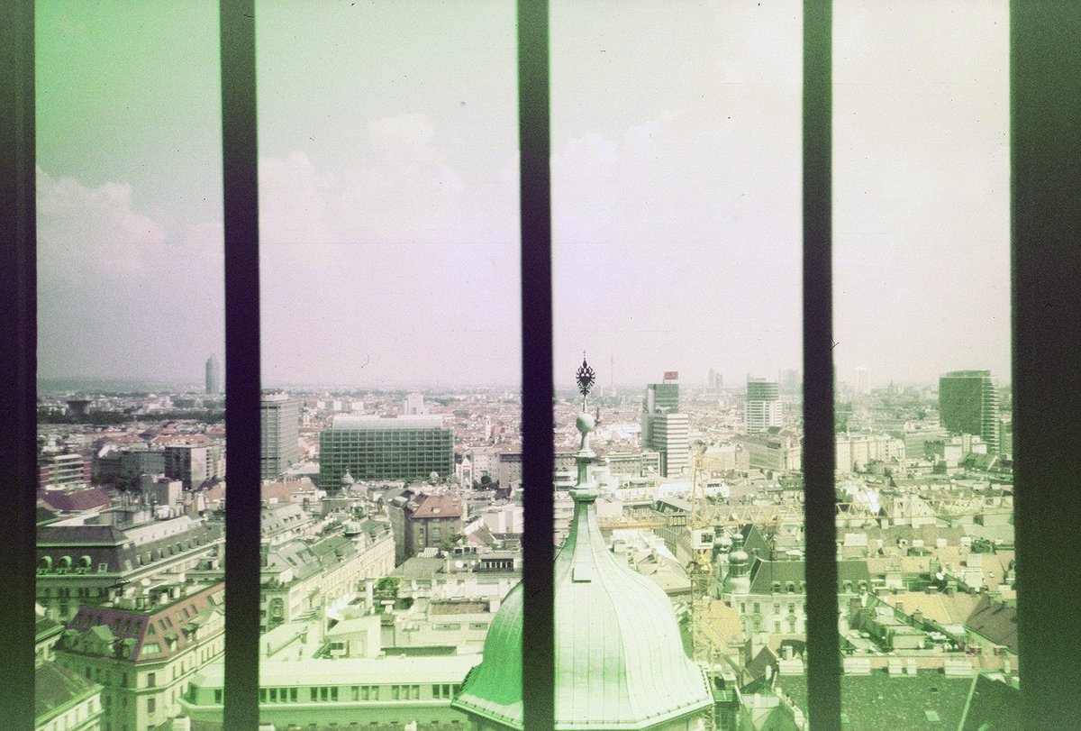 Stedilnik tweet media