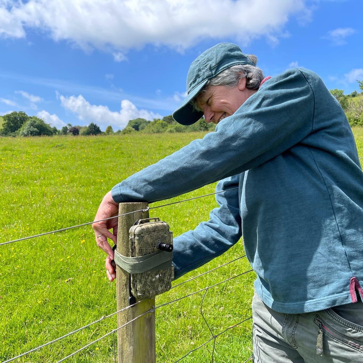 AmbiosLtd's tweet photo. @environmentjob Feedback from a participant.   Photo 2: installing a static bat detector . https://t.co/auPodlCZ3U