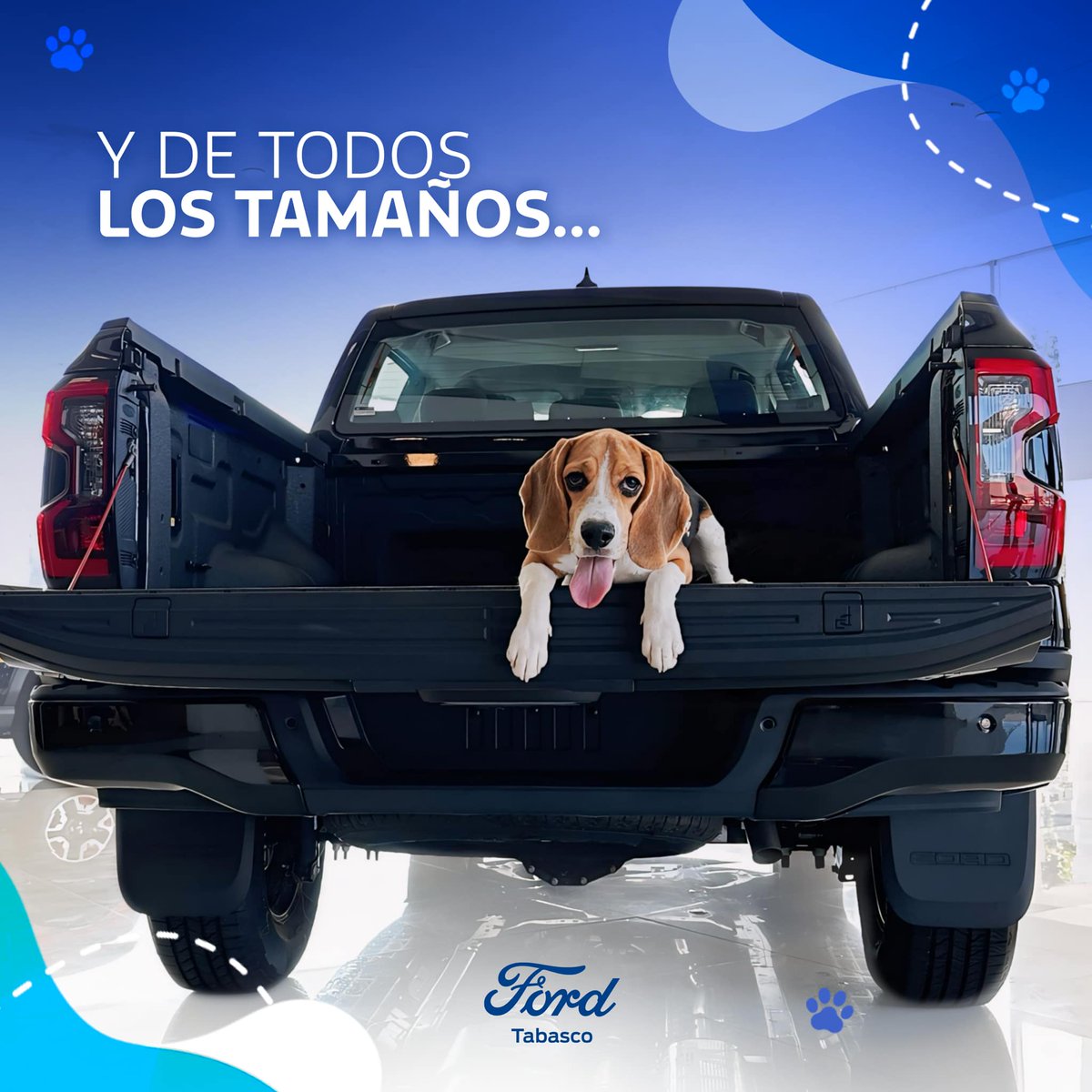 FordTabascoMX's tweet photo. La felicidad tiene 4 patas y un corazón que late de amor incondicional 🐶🐾💗

#FelizDíaDelPerro #DíaDelPerro #FordTabasco https://t.co/44NWzgtvxh