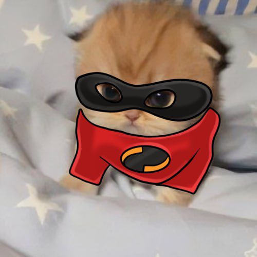 kingcash090's tweet photo. @W0LF0FCRYPT0 $PUMBA: The best things come in small packages. ๐
#PumbaPower
$PUMBA https://t.co/YTDzhXUbGR