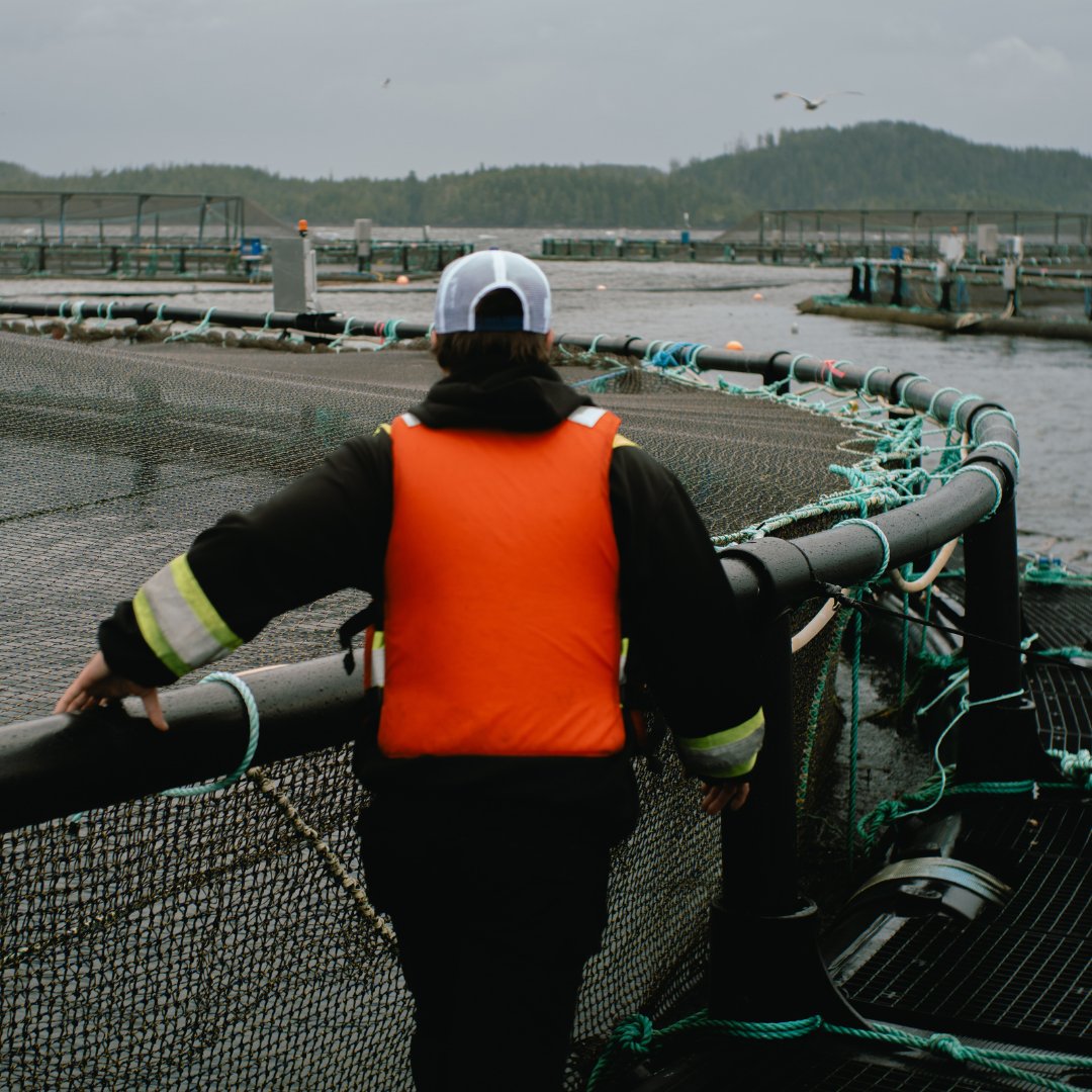 MowiCanadaWest's tweet image. We’re advocating for robust consultations to ensure a transition that honors our commitment to the environment and communities.
 #SustainableTransition #AquacultureInnovation