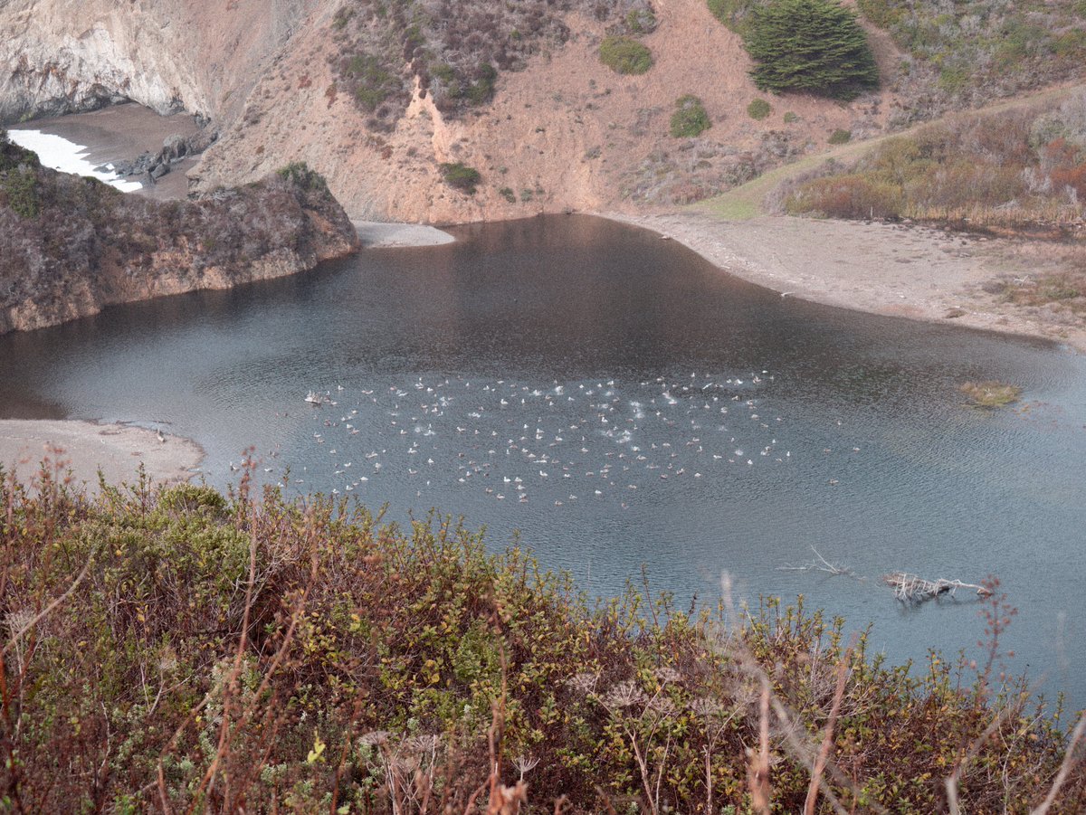 GM ✺

November 17 / On the way to Sonoma, California