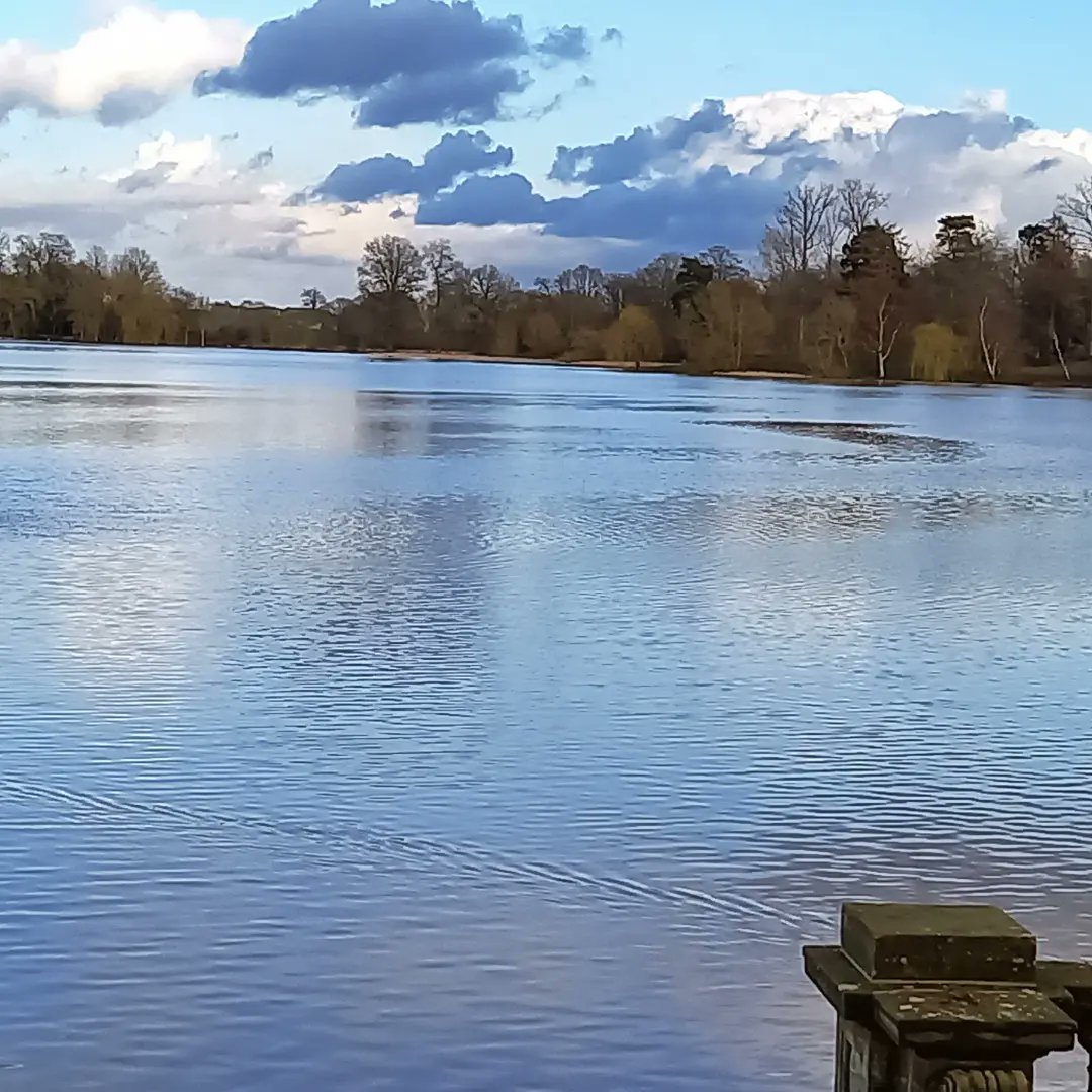 David Hodgson tweet media