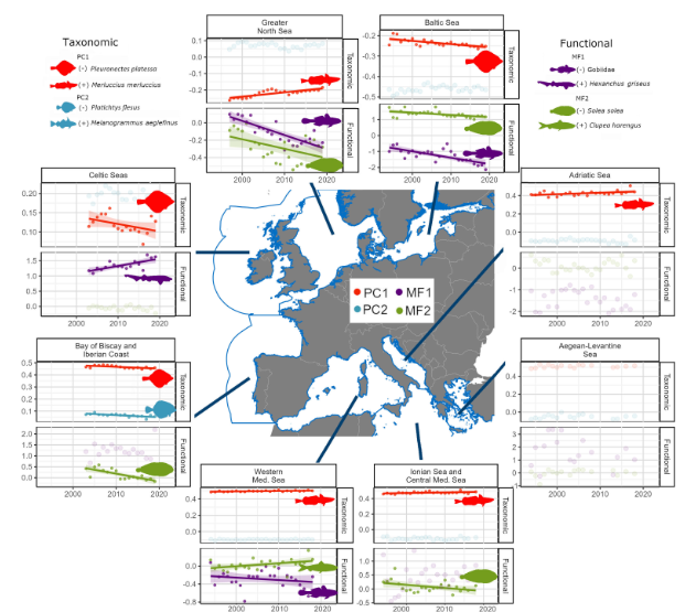 Our new paper in <a href="/EcographyJourna/">Ecography</a> uses species- and trait-based approaches to examine long-term dynamics of European marine fish communities. Traits showed stronger responses to temperature variability, with faster warming favoring rapid life histories.

doi.org/10.1111/ecog.0…