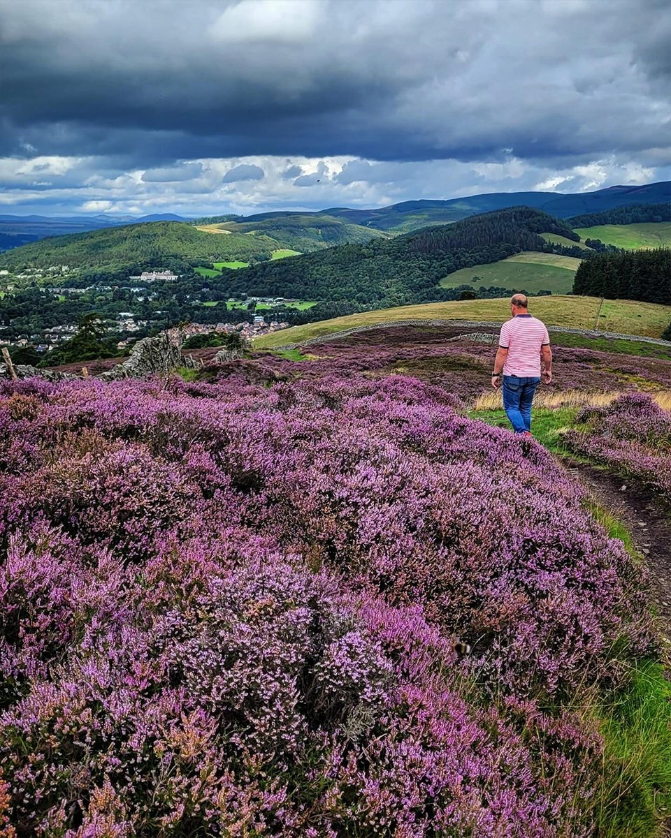 HereScotland's tweet photo. There is so much to see and do in
and around the delightful town of Peebles you will
never have enough time! Hike through the hills, enjoy a
round of golf or canoe down the river!
📍Peebles, Scottish Borders
📷becky_70_; Go Tweed Valley
#Scotland https://t.co/SYsNuYXD1a