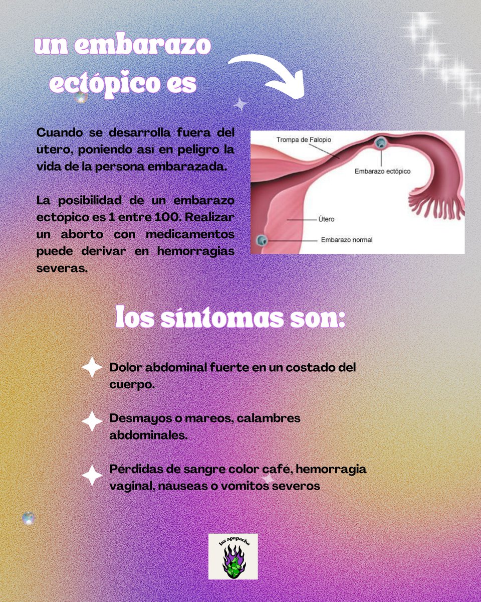 Colectiva Las Apapacho tweet media