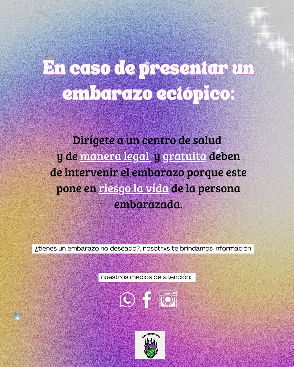 Colectiva Las Apapacho tweet media
