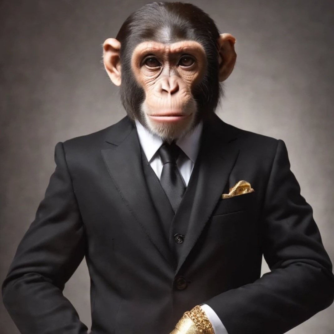 𝐄𝐫𝐝𝐨 tweet media