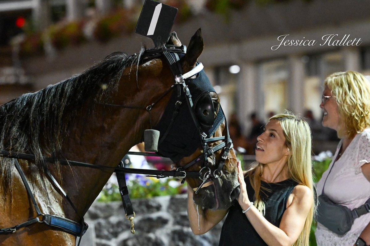 JHallettPhoto's tweet photo. Gerrity Night at Saratoga β¨ https://t.co/YAxdi8b3wb
