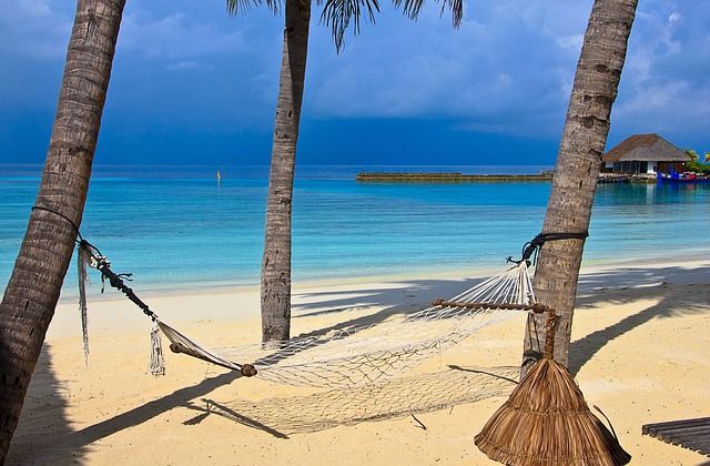 411Holidays's tweet photo. Today is #NationalHammockDay and #MangoDay
Find out what other #Holidays and #Observances fall on #July22nd
https://t.co/y2WEQaSlrz
#July #July22 #Holiday #CasualPiDay #FragileXAwarenessDay #LionsShareDay #RatCatchersDay #SummerLeisureDay #NationalZooKeeperWeek #ScrabbleWeek https://t.co/9P76mzzMnE