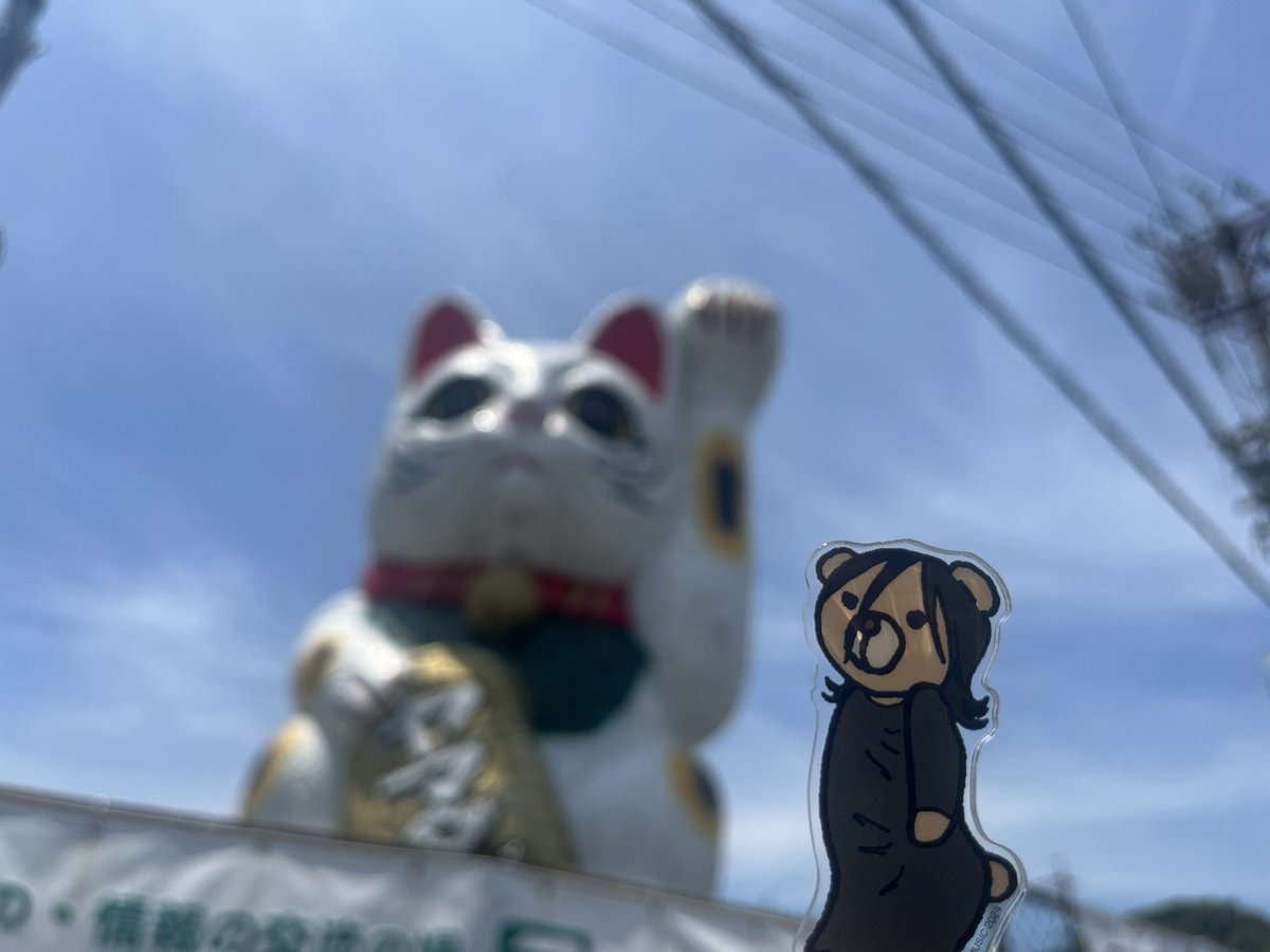 utadahikaru's tweet photo. アクスタ・くま子のSFツアー日記　
~愛知編~

愛知スカイエキスポの2デイズ　海に包囲された埋め立て地ってことが相当気になったようねヒカル　でも「ゴミパワー！」って一言は無くてもよかったんじゃないかしら　湿気と暑さのせいかMCのフワフワ感20%アップ(当社比)で見てるこっちがヒヤヒヤしたわ　

次は埼玉公演　暑さ対策は充分に　心の温度は無限に　みんなで燃えるわよ

話変わるけど　招き猫の生産日本一の常滑市に来たら　常滑焼の招き猫買うっきゃないわよね　

ハッシュタグつけておくわね

#SCIENCEFICTIONTOUR2024