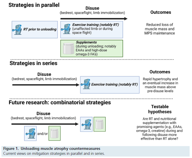 Dr. Myohead (@drmyohead) on Twitter photo Mitigating skeletal muscle wasting in unloading and augmenting subsequent recovery
Good read from <a href="/maxmichel_/">Max Michel</a> <a href="/DrMikeRoberts/">Mike Roberts</a> <a href="/MarcasBamman/">Marcas Bamman, PhD</a> et al
doi.org/10.1113/JP2843… Mitigating skeletal muscle wasting in unloading and augmenting subsequent recovery
Good read from <a href="/maxmichel_/">Max Michel</a> <a href="/DrMikeRoberts/">Mike Roberts</a> <a href="/MarcasBamman/">Marcas Bamman, PhD</a> et al
doi.org/10.1113/JP2843…