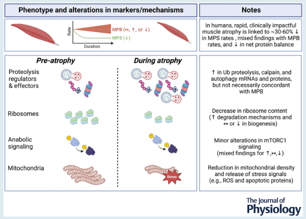 Dr. Myohead tweet media