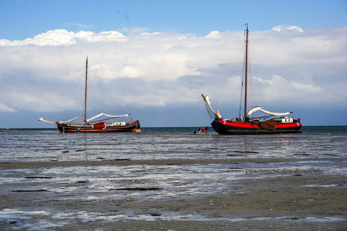 La Bohème und Zeilschip Vertrouwen trockengefallen auf der Sandbank Richel. 🌾🦭🐚
#LaBohème #Segeln #Wattenmeer #Vlieland #Richel #Trockenfallen #Abenteuer #Freiheit #Sommer #HollandSail #oceanlovers #sailorslife