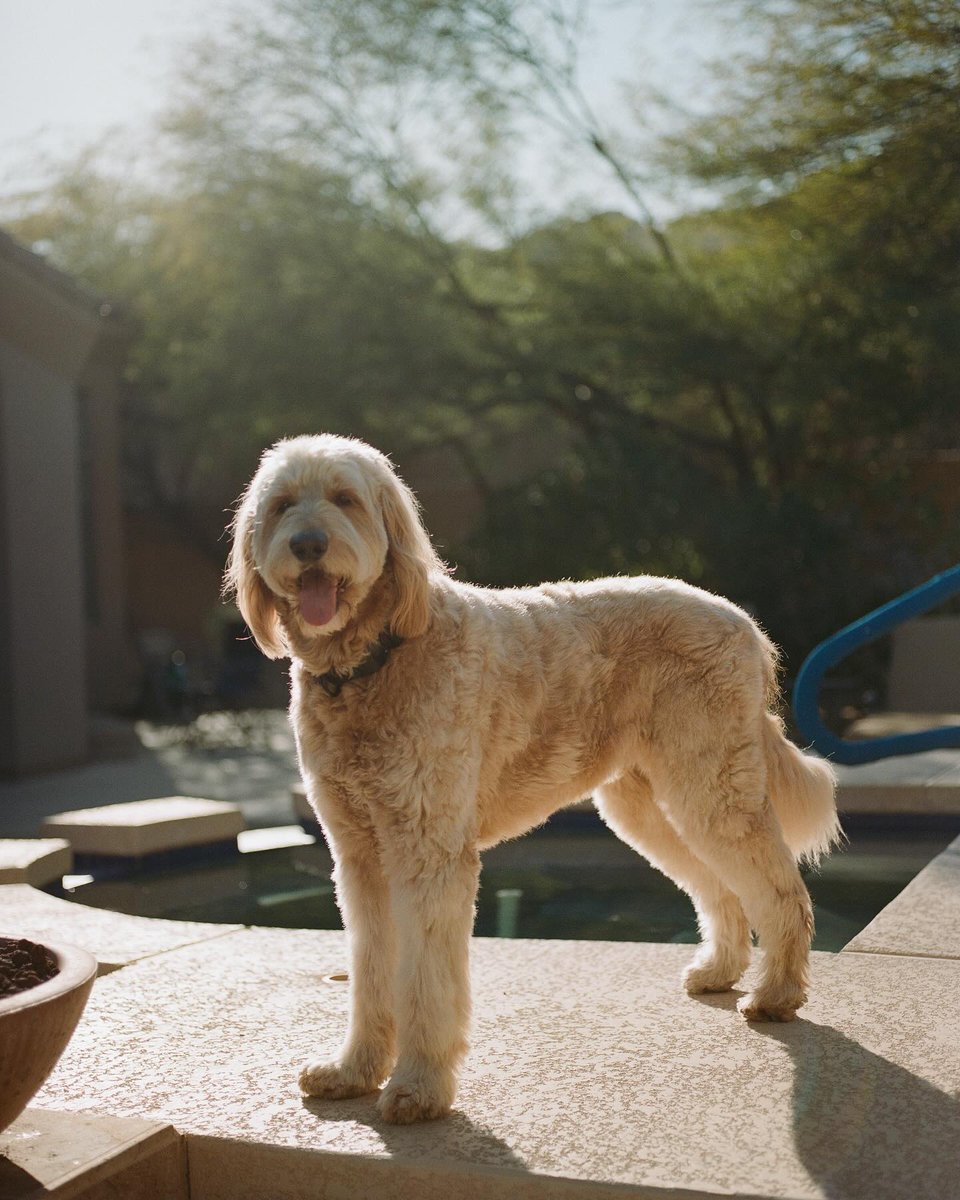 Richard Photo Lab tweet media