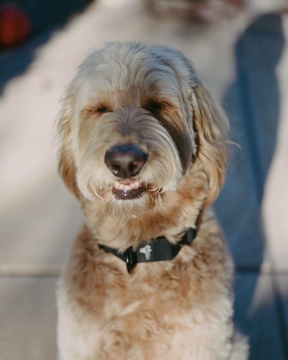 Richard Photo Lab tweet media