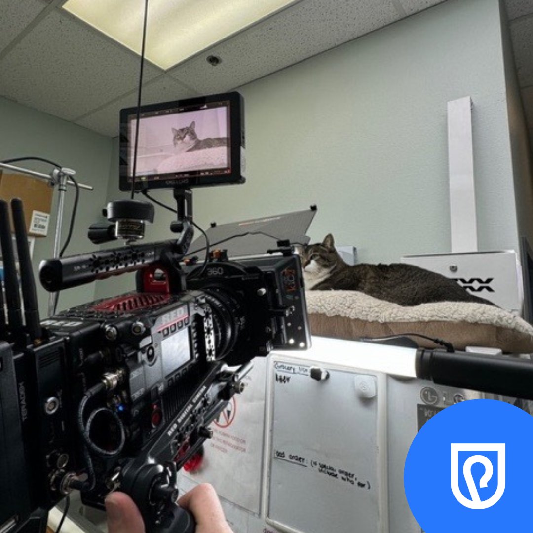 shepherd_vet's tweet image. Why Shepherd? Stay tuned for the upcoming release of our new customer success story and learn about why Shepherd was the best move for this veterinary business and practice. 🎬

#BTS #ShepherdSoftware #ShepherdVeterinarySoftware #VeterinarySoftware #Veterinarians