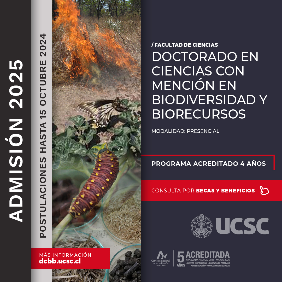 ¡Atentos!

Ya comenzó el proceso de postulación al Doctorado en Ciencias con mención en Biodiversidad y Biorecursos UCSC, admisión 2025.

Todos los detalles en la web dcbb.ucsc.cl

#ciencias #biodiversidad #biorecursos #ucsc #ucscconcepción #doctorado