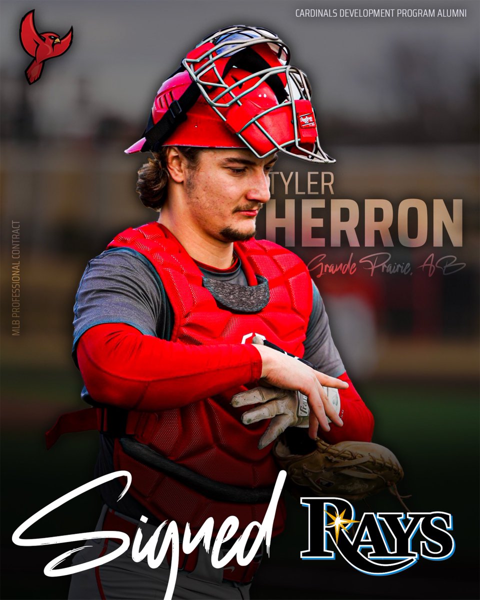 Cardinals Development Program (@cardinalsdev) on Twitter photo More Tito News! 🗞️
<a href="/tylerherron_/">Tyler Herron</a> signs a professional contract with <a href="/RaysBaseball/">Tampa Bay Rays</a>. ✍️
Keep making us proud!
#DevAlumni More Tito News! 🗞️
<a href="/tylerherron_/">Tyler Herron</a> signs a professional contract with <a href="/RaysBaseball/">Tampa Bay Rays</a>. ✍️
Keep making us proud!
#DevAlumni