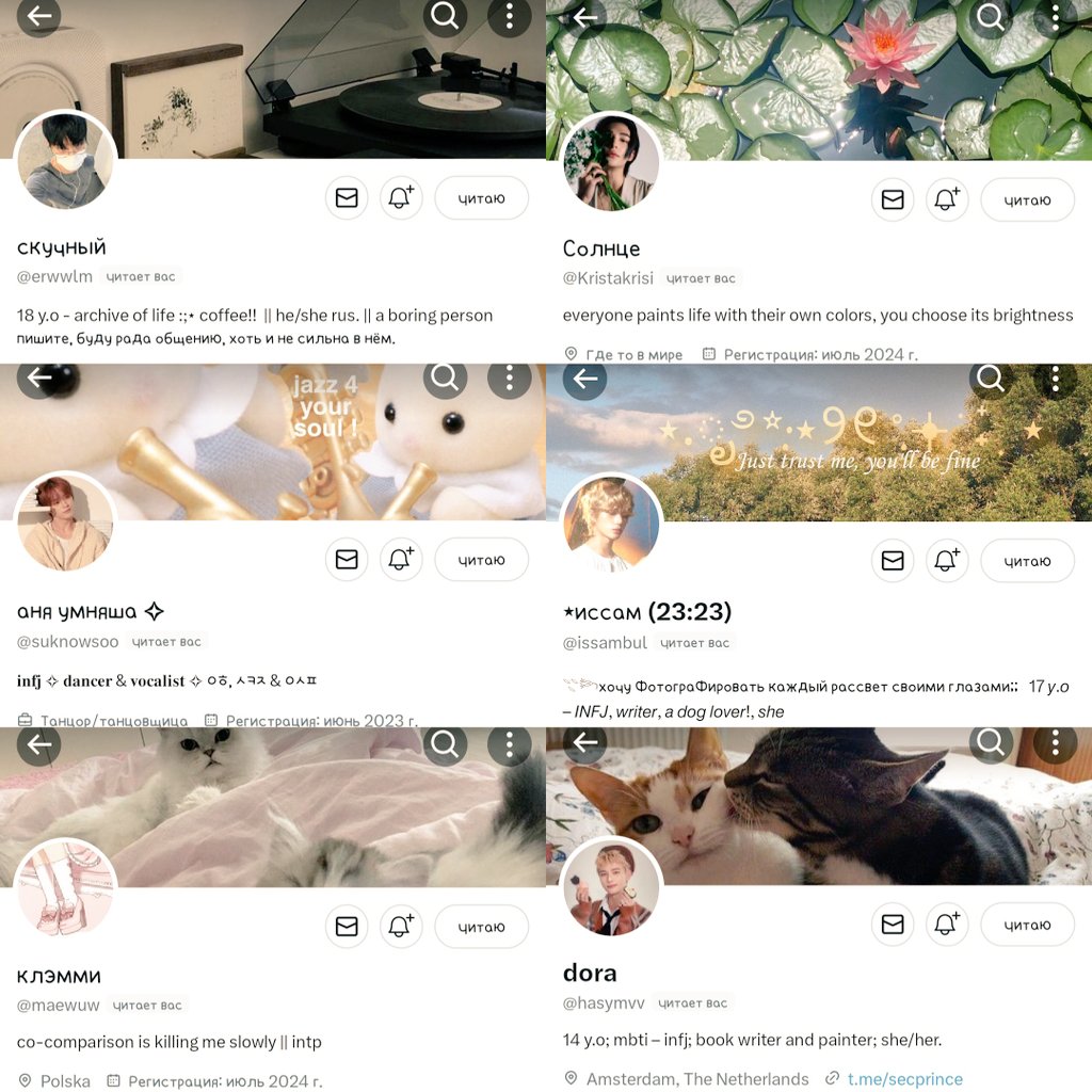 hannie '🐢' | ATE tweet media